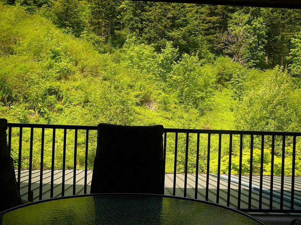 Bonneville Hot Springs Resort & Spa North Bonneville Værelse billede